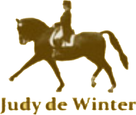 Winterhorses - Judy de Winter